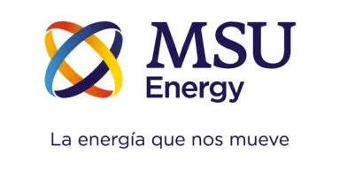 Msu Energy